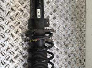 Suspension Strut SKODA Roomster (5J), SKODA Roomster Praktik (5J)