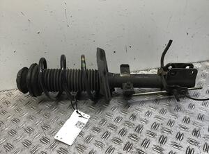 Suspension Strut RENAULT Clio V (BF)