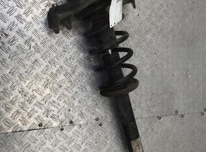 Suspension Strut AUDI A6 (4F2, C6)