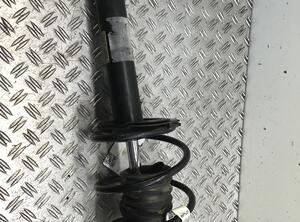 Suspension Strut BMW Z4 Roadster (E85)