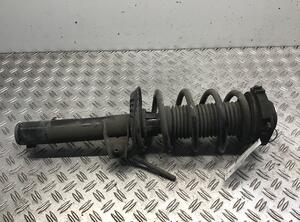 Suspension Strut VW Sharan (7N)