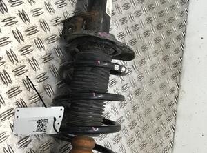 Suspension Strut VW Sharan (7N)