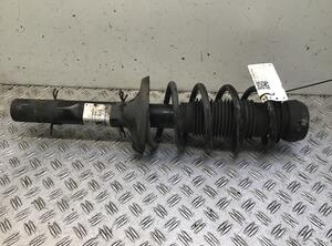 Suspension Strut VW Golf IV (1J1)