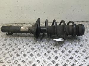 Suspension Strut VW Golf IV (1J1)