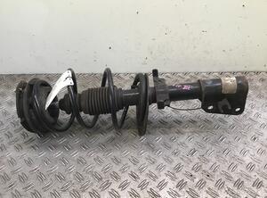 Suspension Strut RENAULT Clio III (BR0/1, CR0/1)