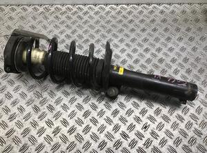 Suspension Strut VW Golf V (1K1), VW Golf VI (5K1)