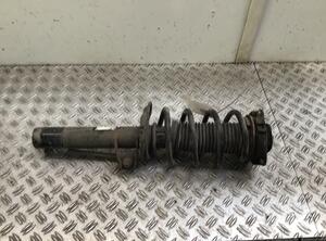 Suspension Strut VW SHARAN (7N1, 7N2)