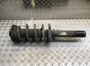 Suspension Strut VW SHARAN (7N1, 7N2)