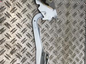 Bonnet Hinge RENAULT Megane CC (EZ0/1)