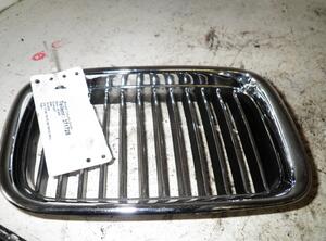 Radiateurgrille BMW 3 (E46)