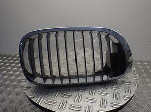 Radiateurgrille BMW 3 (E46)