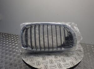 Radiateurgrille BMW 3 (E46)