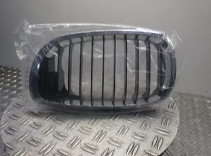 Radiateurgrille BMW 3 (E46)