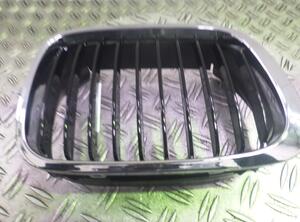 Radiateurgrille BMW 3er Touring (E46), BMW 3er Compact (E46)