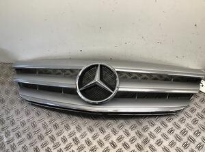 Radiator Grille MERCEDES-BENZ B-CLASS (W245)