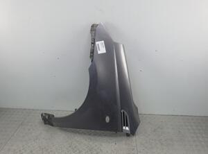 Spatbord CHEVROLET Aveo/Kalos Schrägheck (T250, T255)