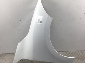 Spatbord RENAULT Megane CC (EZ0/1)