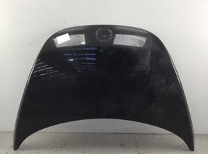 Bonnet VW New Beetle (1C1, 9C1)