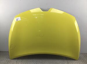 Bonnet RENAULT CLIO III (BR0/1, CR0/1), RENAULT CLIO IV (BH_), RENAULT CAPTUR I (J5_, H5_)