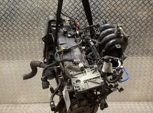 Bare Engine FIAT Linea (323_, 110_)