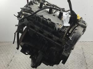 Bare Engine RENAULT Megane II Coupé-Cabriolet (EM0/1)