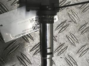 Ignition Coil VW Polo (9N)