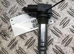 Ignition Coil VW Golf Plus (521, 5M1)