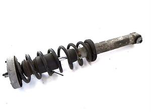 Suspension Strut BMW 7er (E65, E66, E67)