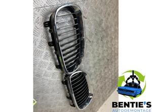 Radiator Grille BMW 5er (E60), BMW 5er (F10)