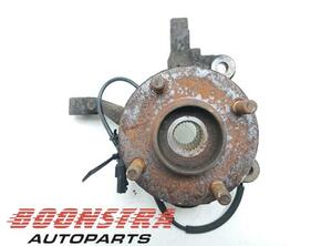 Stub Axle FORD Fiesta VI (CB1, CCN)