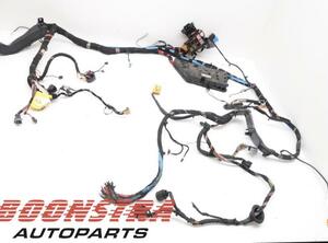 Wiring Harness PORSCHE 911 (991)