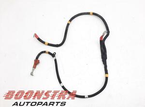 Wiring Harness FERRARI California (--)