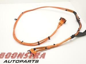 Wiring Harness VW Passat Variant (3G5, CB5)