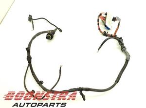 Wiring Harness BMW X6 (E71, E72), BMW X5 (E70)