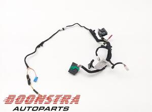 Wiring Harness BMW 8 Gran Coupe (F93, G16)