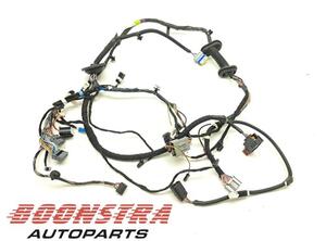 Wiring Harness TESLA MODEL S (5YJS)