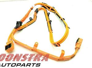 Wiring Harness BMW 5 Touring (G31)