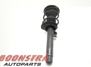 Suspension Strut BMW 3er Touring (F31)