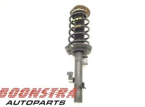 Suspension Strut LAND ROVER Freelander 2 (FA)