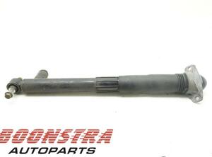 Suspension Strut SEAT Leon ST (5F8)