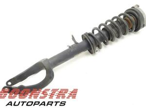 Suspension Strut BMW 5er Touring (F11)