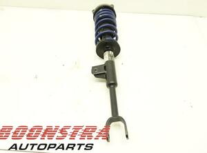 Suspension Strut BMW 5er Touring (G31)