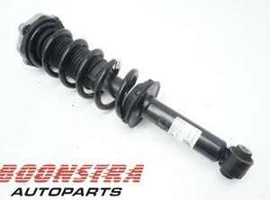 Suspension Strut BMW X3 (F97, G01)