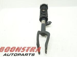 Suspension Strut BMW 5er Touring (F11)