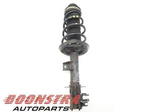 Suspension Strut FIAT Panda (312, 319), FIAT Panda Van (312, 519)