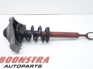 Suspension Strut AUDI A6 Avant (4F5, C6)