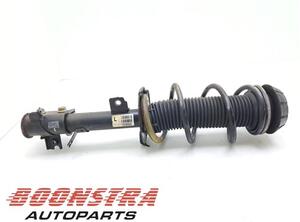 Suspension Strut SUZUKI Swift IV (FZ, NZ)