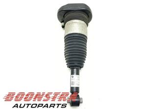 Suspension Strut BMW 5er Touring (G31)