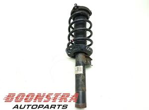 Suspension Strut SEAT Altea (5P1), SEAT Altea XL (5P5, 5P8), SEAT Toledo III (5P2)