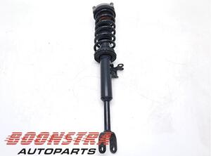 Suspension Strut BMW 5er (F10)